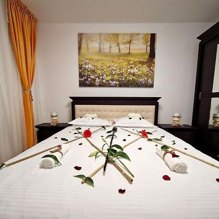 Forest Intimate Hideaway - Sub Padure Love Nest Lägenhet Braşov Exteriör bild
